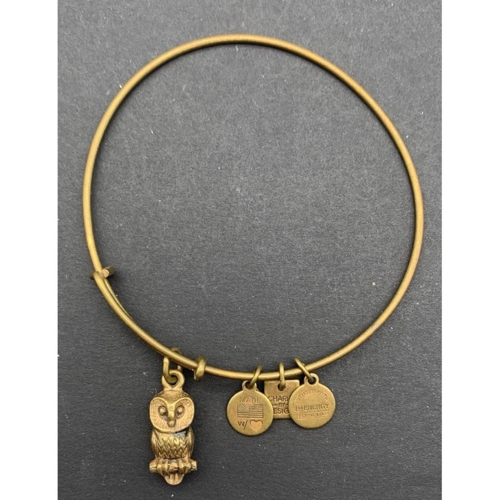 Alex And Ani Antiqued Gold Tone Ode To The Owl Charm Bracelet